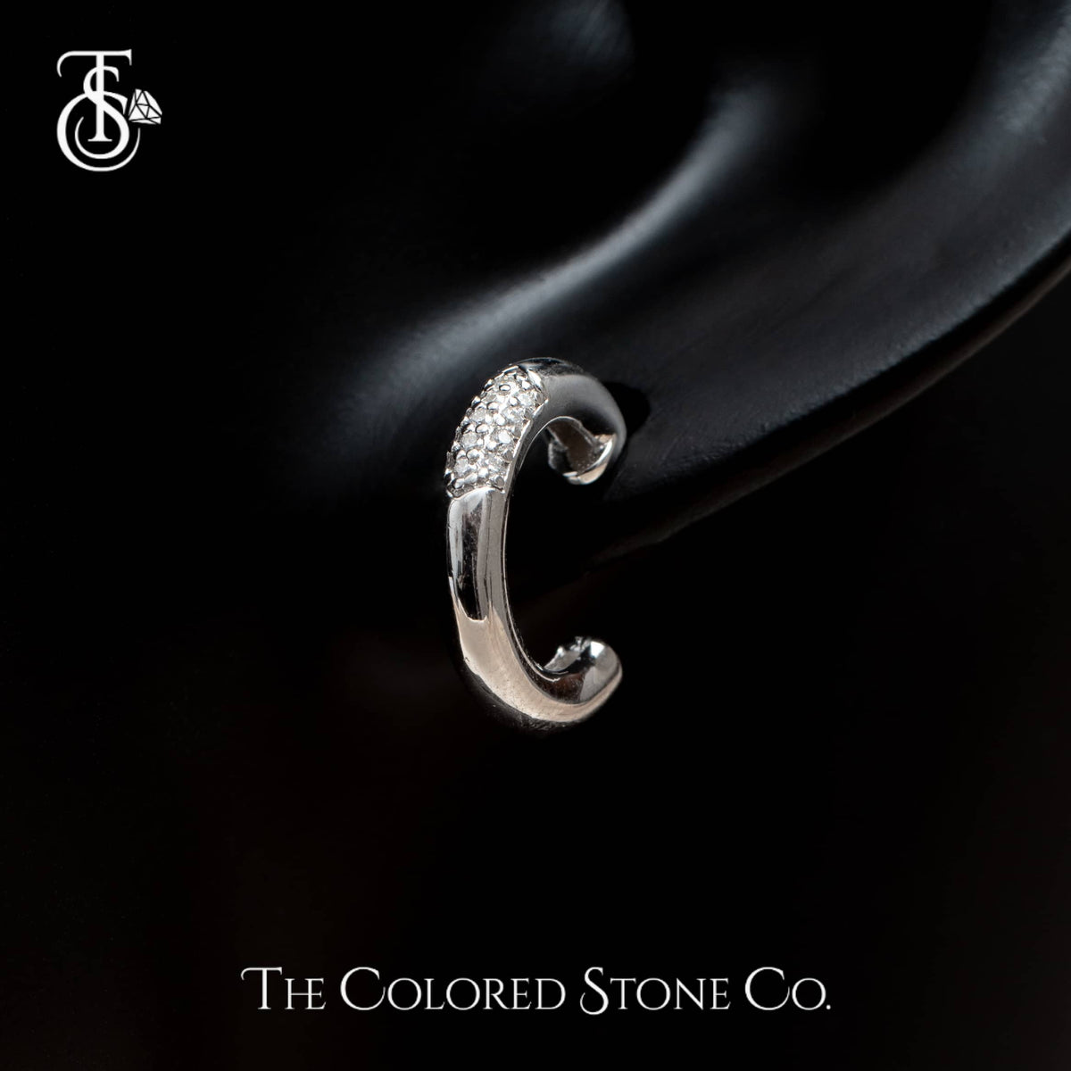 Icelle Earrings- Moissanite