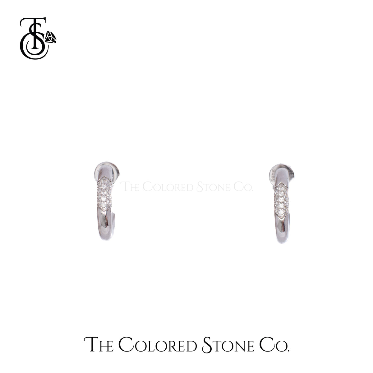Icelle Earrings- Moissanite