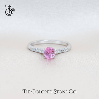 Blush Ring - 18K WG - Natural Pink Sapphire