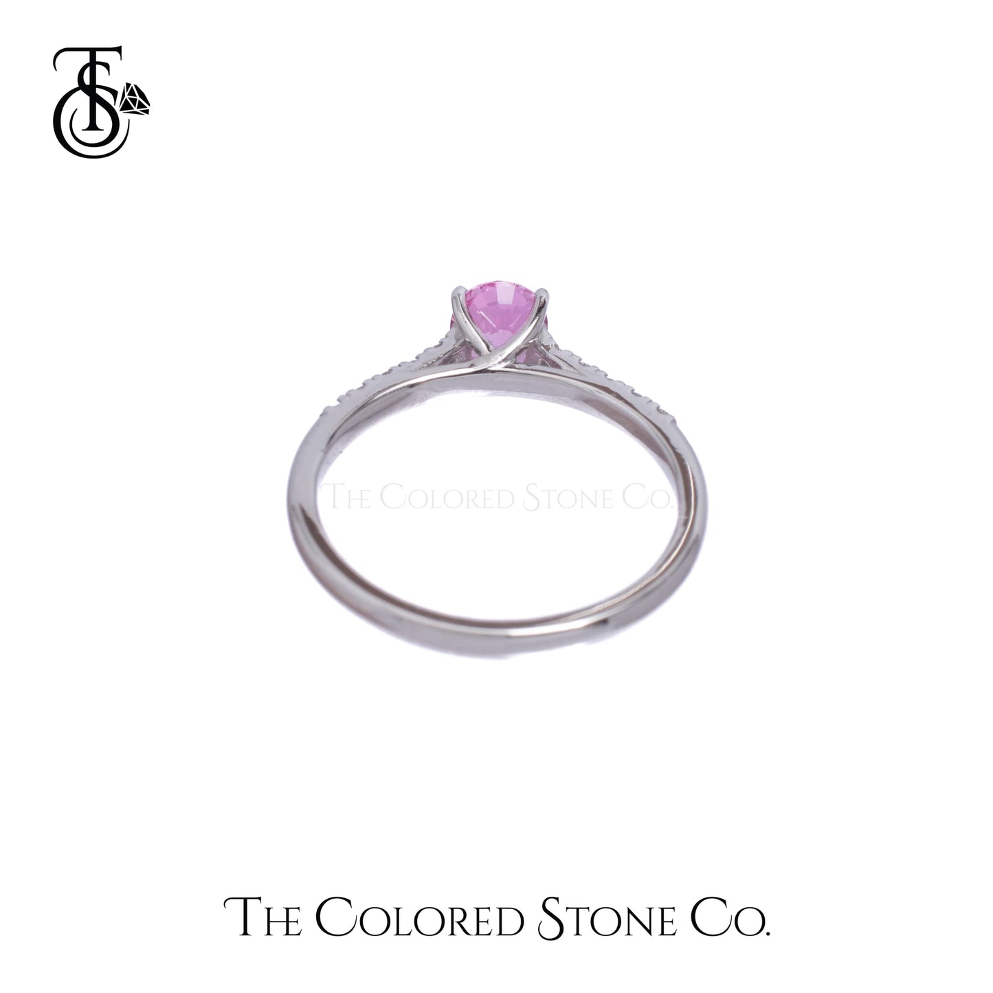Blush Ring - 18K WG - Natural Pink Sapphire