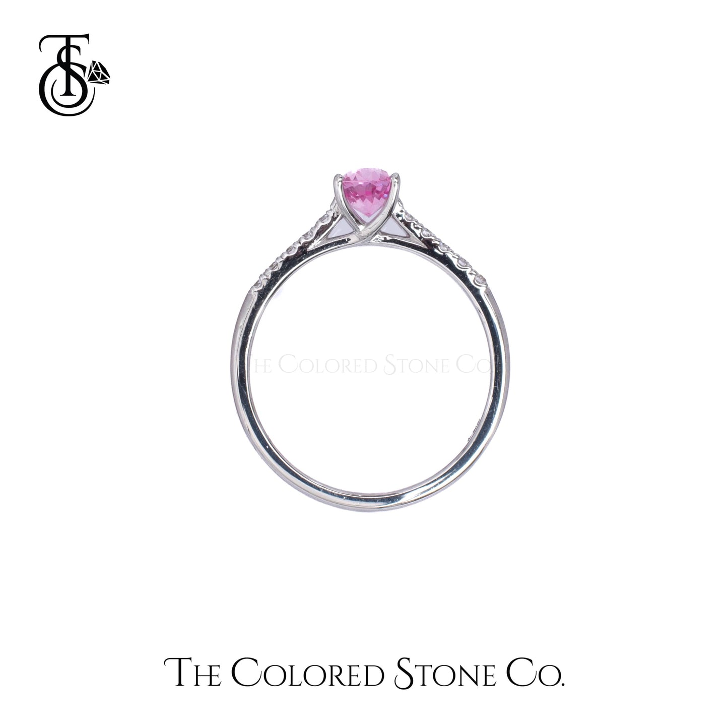 Blush Ring - 18K WG - Natural Pink Sapphire