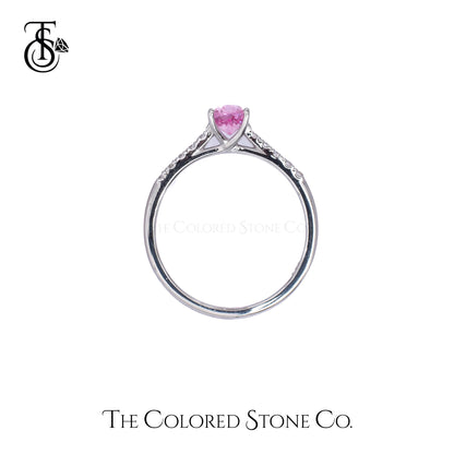 Blush Ring - 18K WG - Natural Pink Sapphire