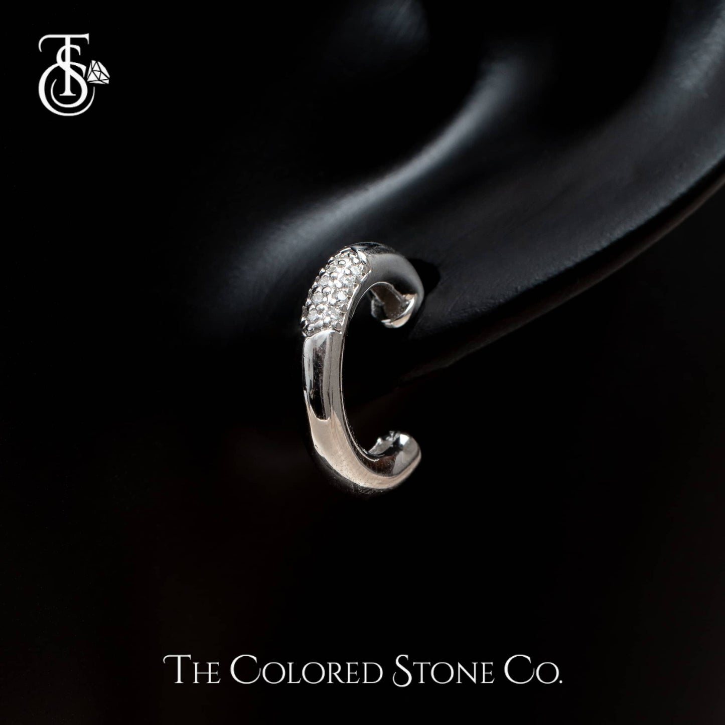 Icelle Earrings- Moissanite