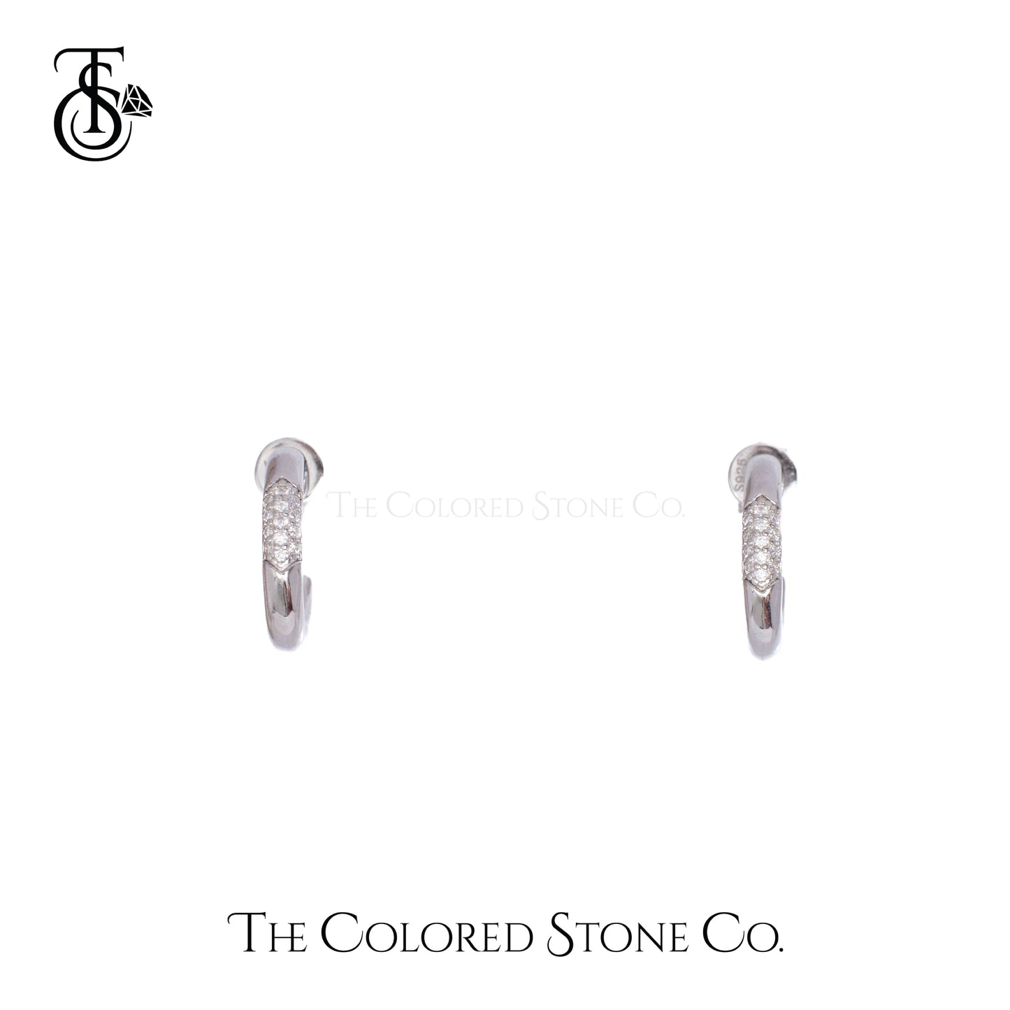 Icelle Earrings- Moissanite