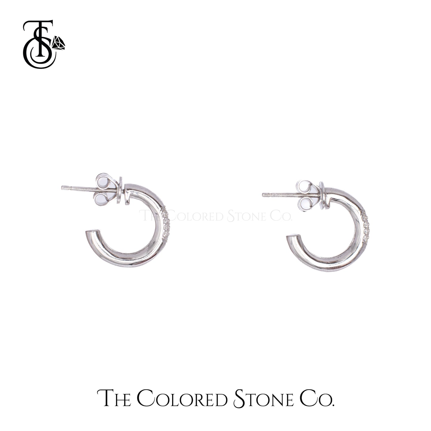 Icelle Earrings- Moissanite