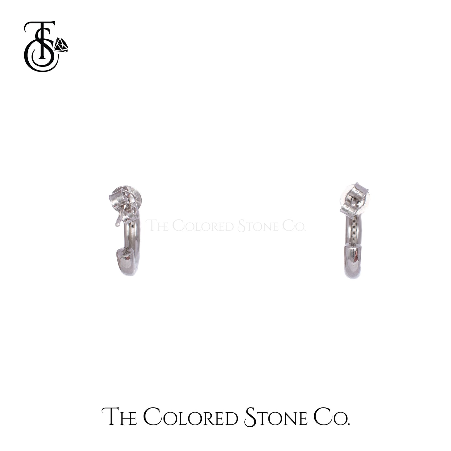 Icelle Earrings- Moissanite