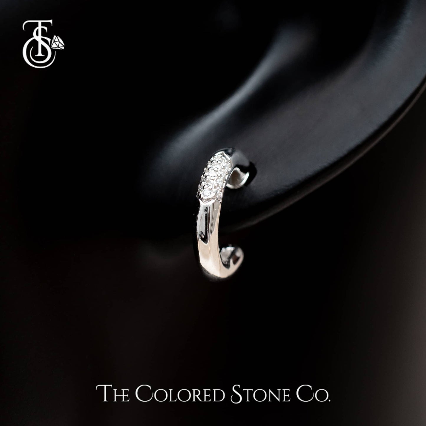 Icelle Earrings- Moissanite