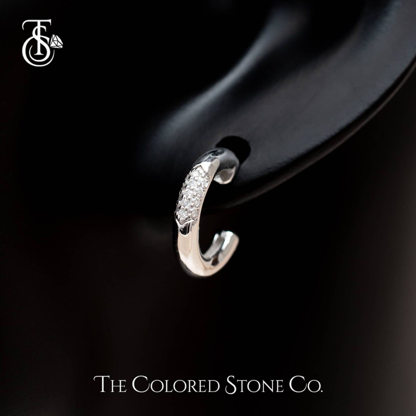 Icelle Earrings- Moissanite